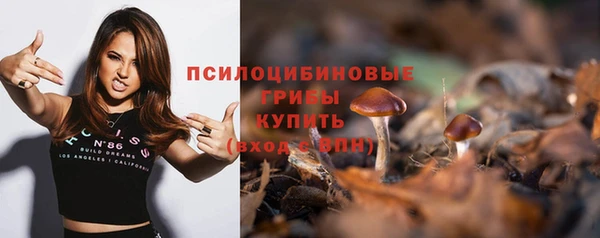 стаф Алексин