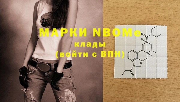 хмурый Абаза