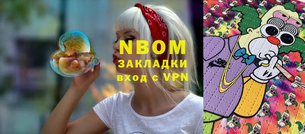 хмурый Абаза
