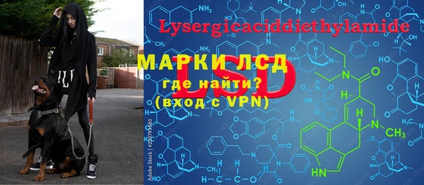 стаф Алексин