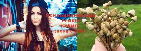 хмурый Абаза