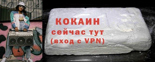 хмурый Абаза