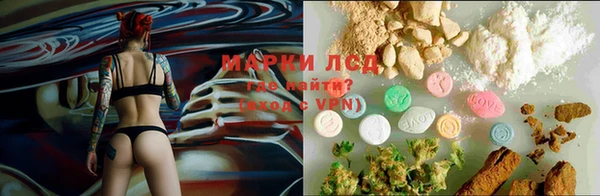 хмурый Абаза