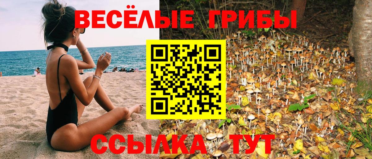 Псилоцибиновые грибы мицелий  Псилоцибиновые грибы мухоморы  Вход с VPN  Тулун 