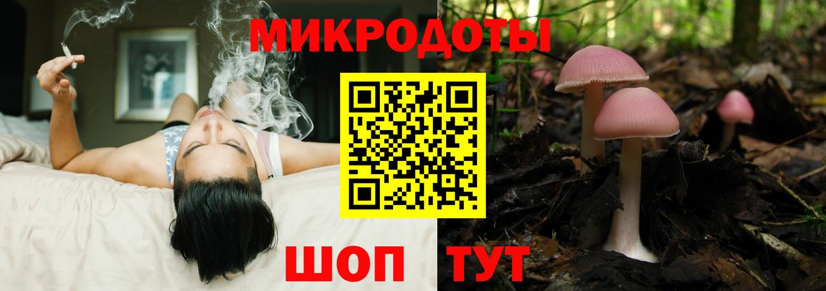 Галлюциногенные грибы MAGIC MUSHROOMS Тулун